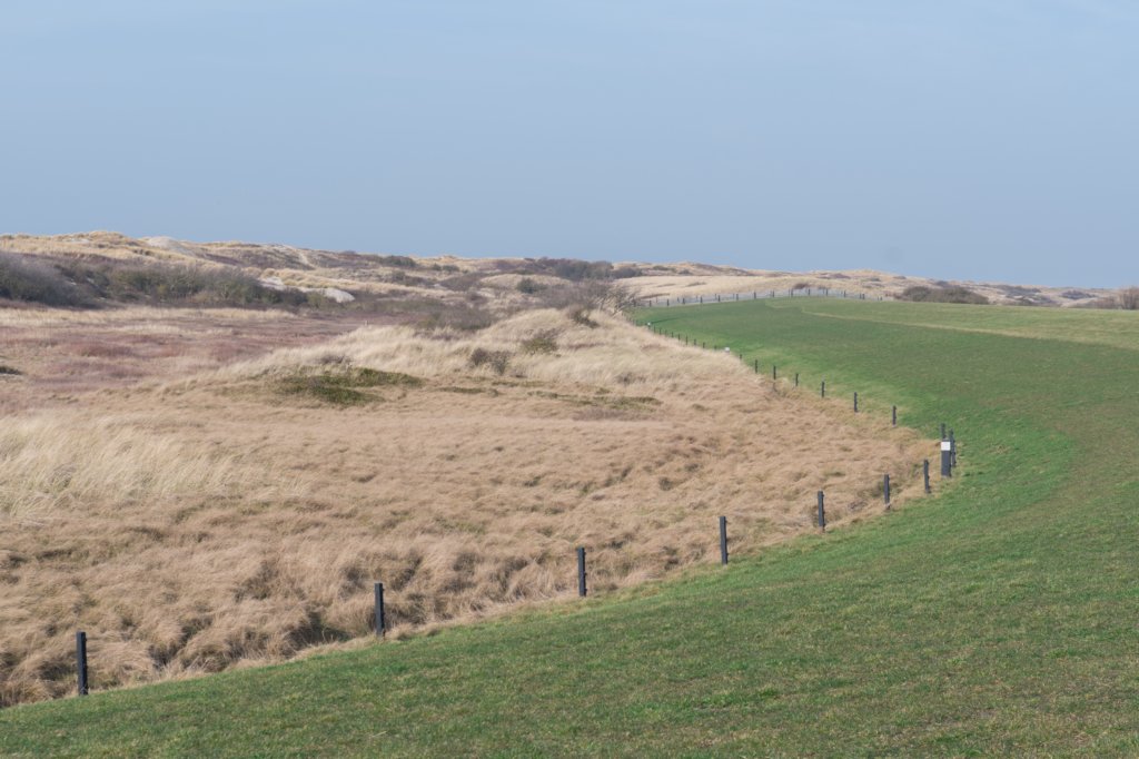 ameland_123.jpg