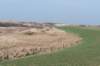 ameland_123_small.jpg