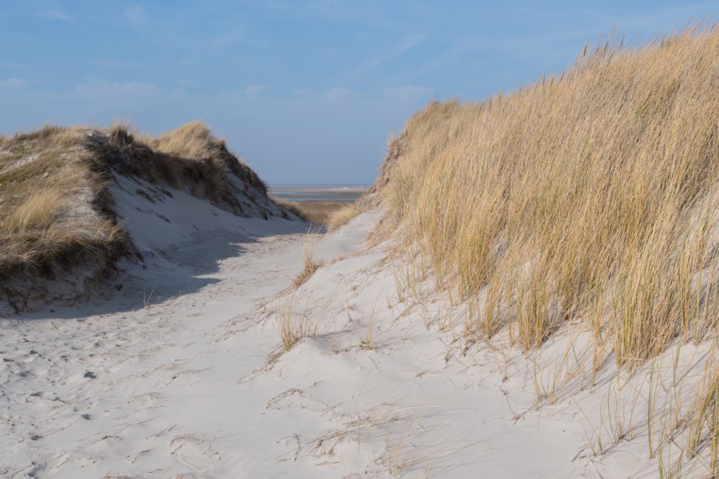 ameland_129.jpg