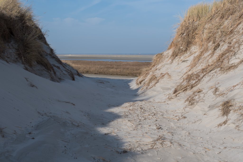 ameland_130.jpg