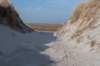 ameland_130_small.jpg