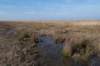 ameland_131_small.jpg