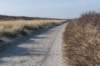 ameland_132_small.jpg