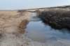 ameland_134_small.jpg