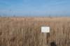 ameland_135_small.jpg