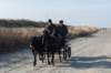 ameland_136_small.jpg