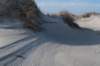 ameland_137_small.jpg