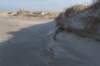 ameland_138_small.jpg