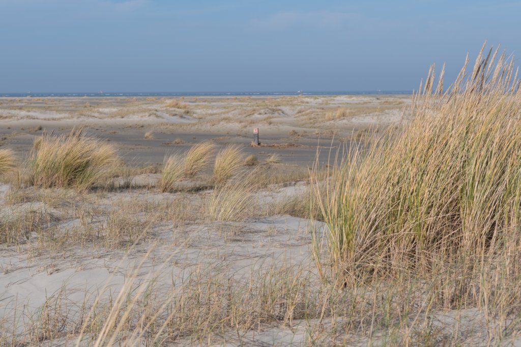 ameland_139.jpg