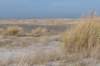 ameland_139_small.jpg