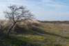 ameland_141_small.jpg