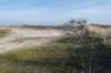 ameland_142_small.jpg