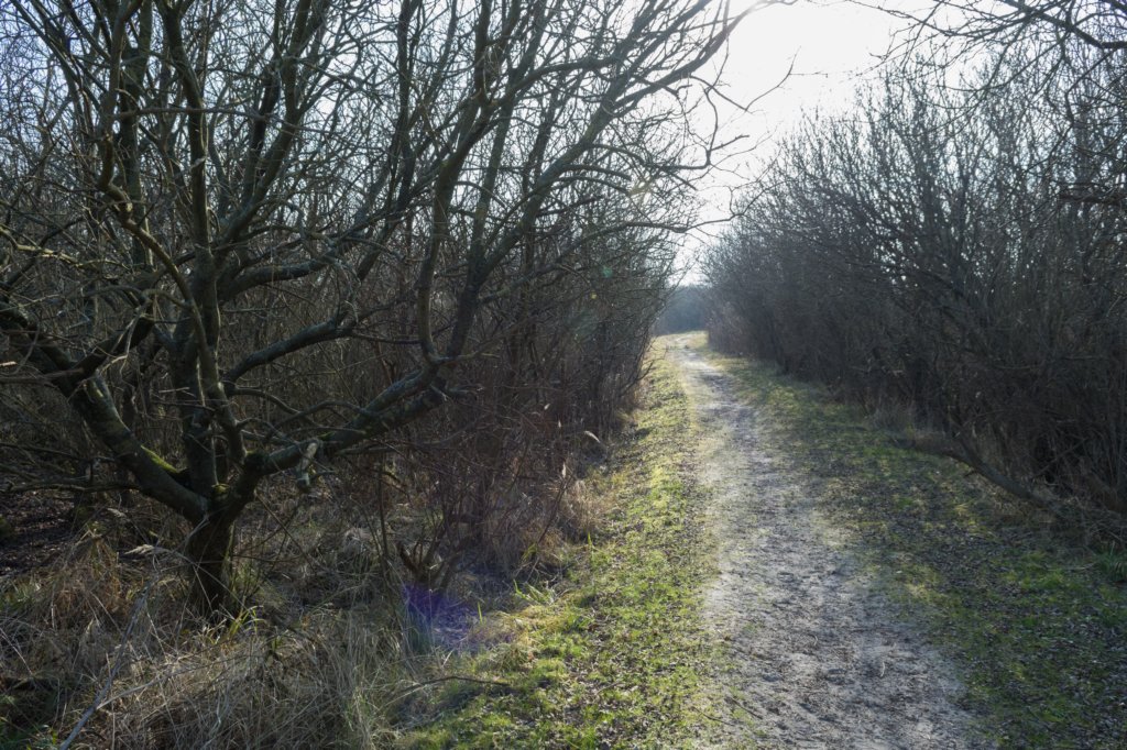ameland_143.jpg