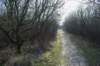 ameland_143_small.jpg