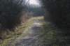 ameland_144_small.jpg