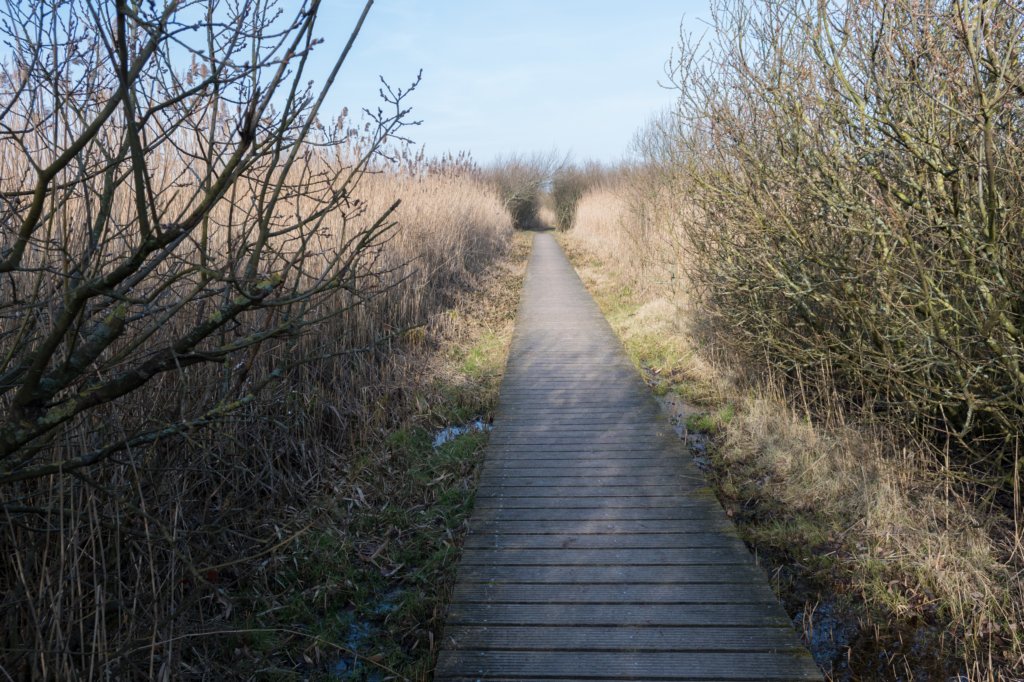 ameland_146.jpg