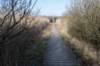 ameland_146_small.jpg