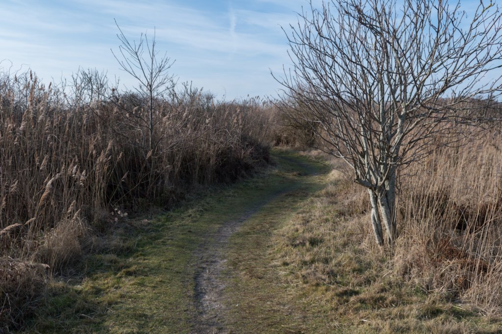 ameland_147.jpg
