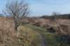 ameland_148_small.jpg