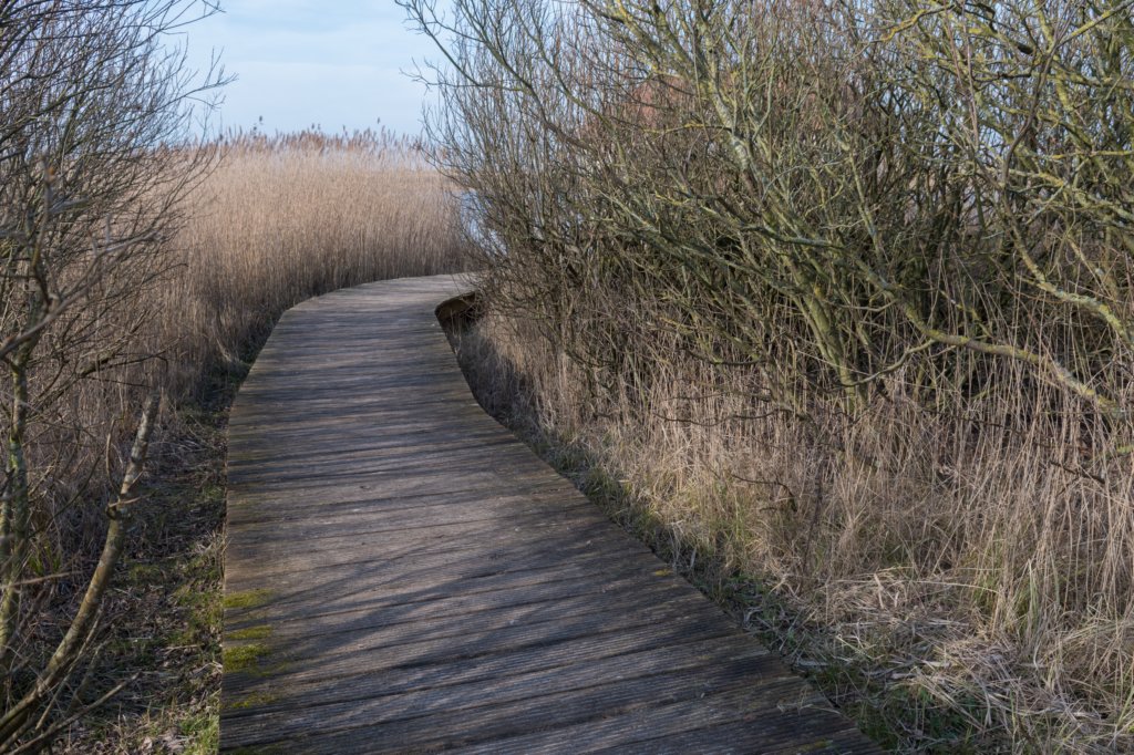 ameland_149.jpg