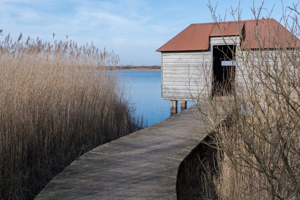 ameland_150.jpg