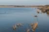ameland_151_small.jpg