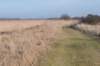 ameland_152_small.jpg