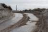 ameland_155_small.jpg