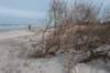 ameland_158_small.jpg