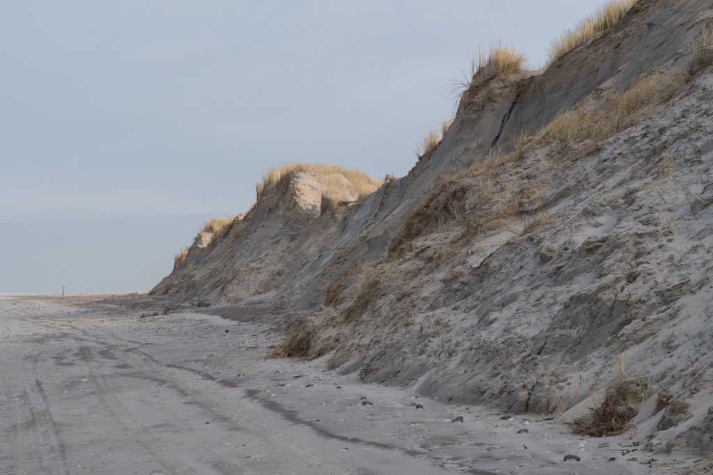 ameland_160.jpg