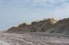 ameland_161_small.jpg
