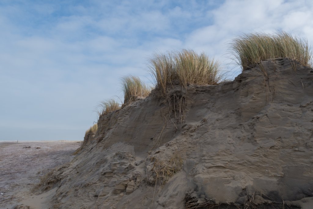 ameland_162.jpg
