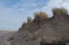 ameland_162_small.jpg