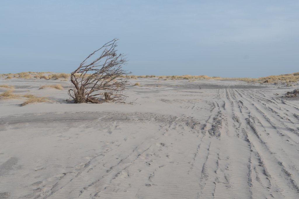 ameland_164.jpg