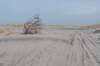 ameland_164_small.jpg
