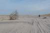 ameland_165_small.jpg