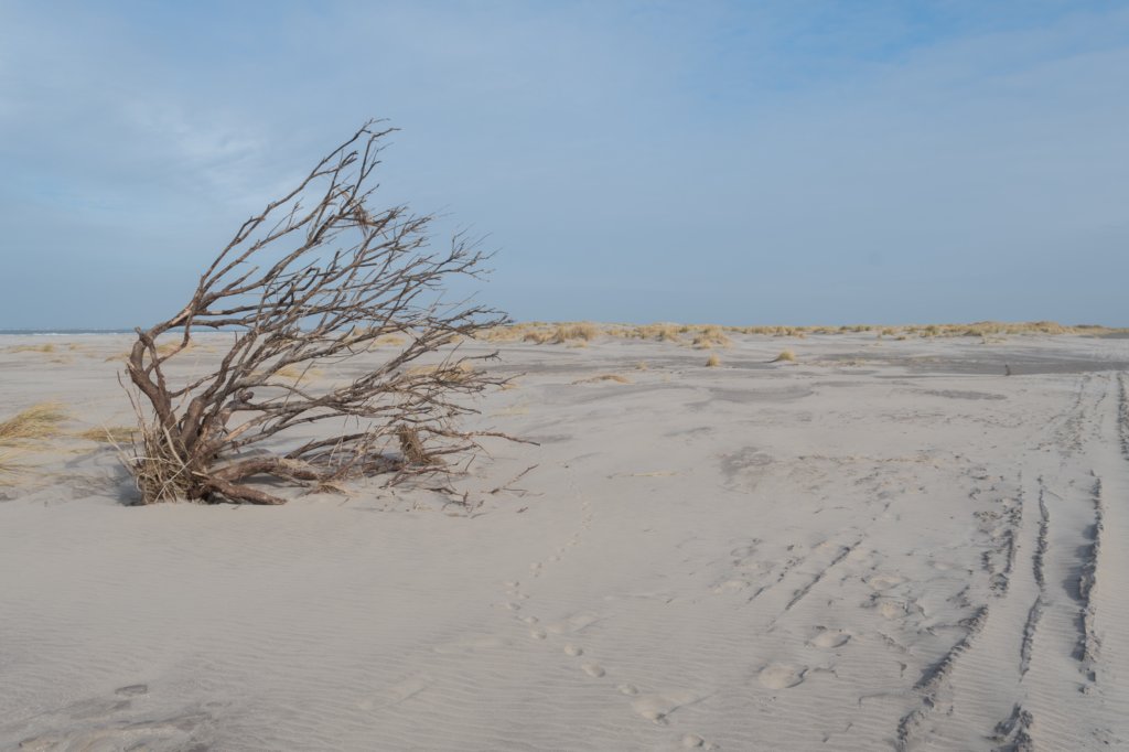 ameland_167.jpg