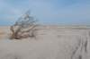 ameland_167_small.jpg