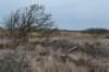 ameland_169_small.jpg
