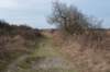 ameland_170_small.jpg