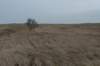 ameland_171_small.jpg