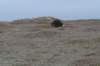 ameland_173_small.jpg