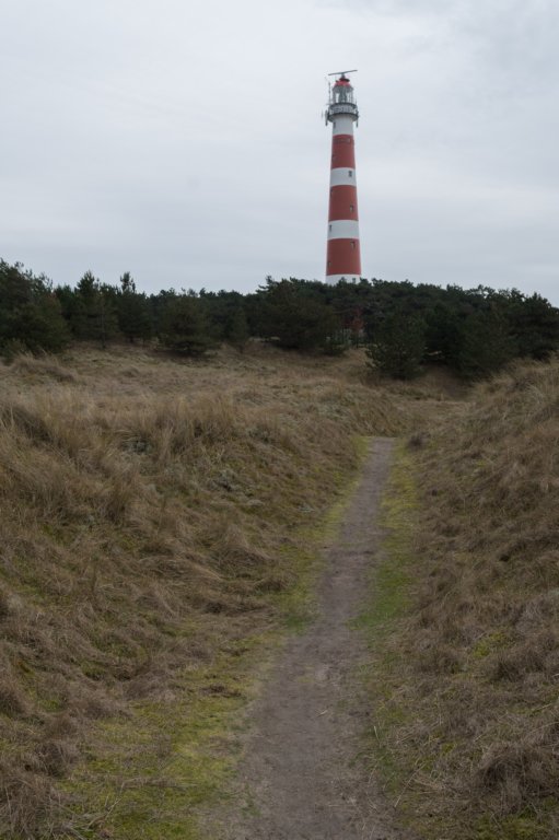 ameland_175.jpg