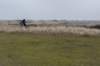 ameland_176_small.jpg