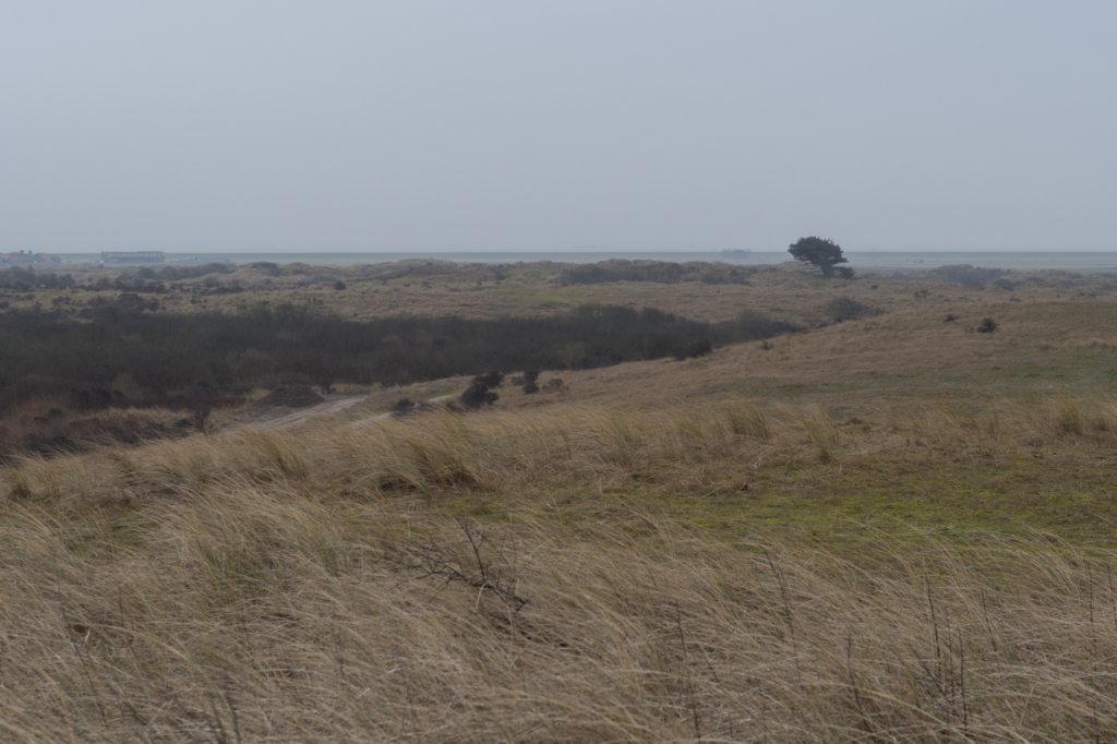 ameland_178.jpg