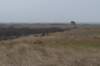 ameland_178_small.jpg