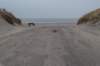 ameland_180_small.jpg