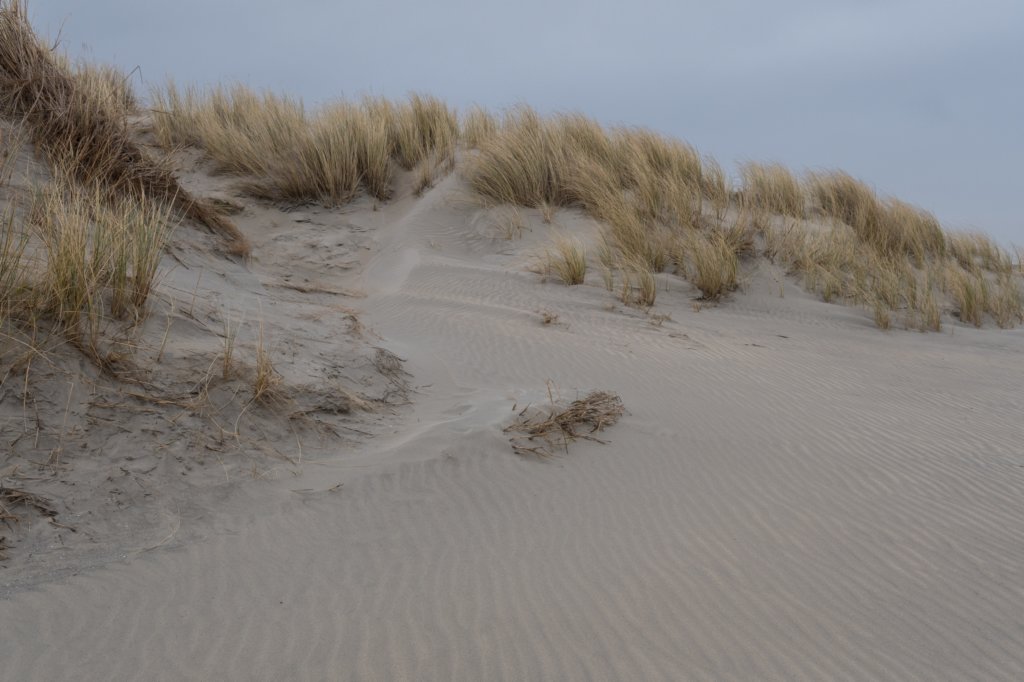 ameland_181.jpg