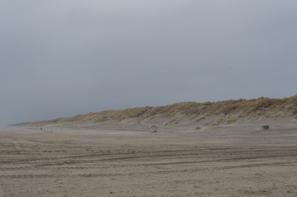 ameland_182.jpg
