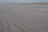 ameland_185_small.jpg